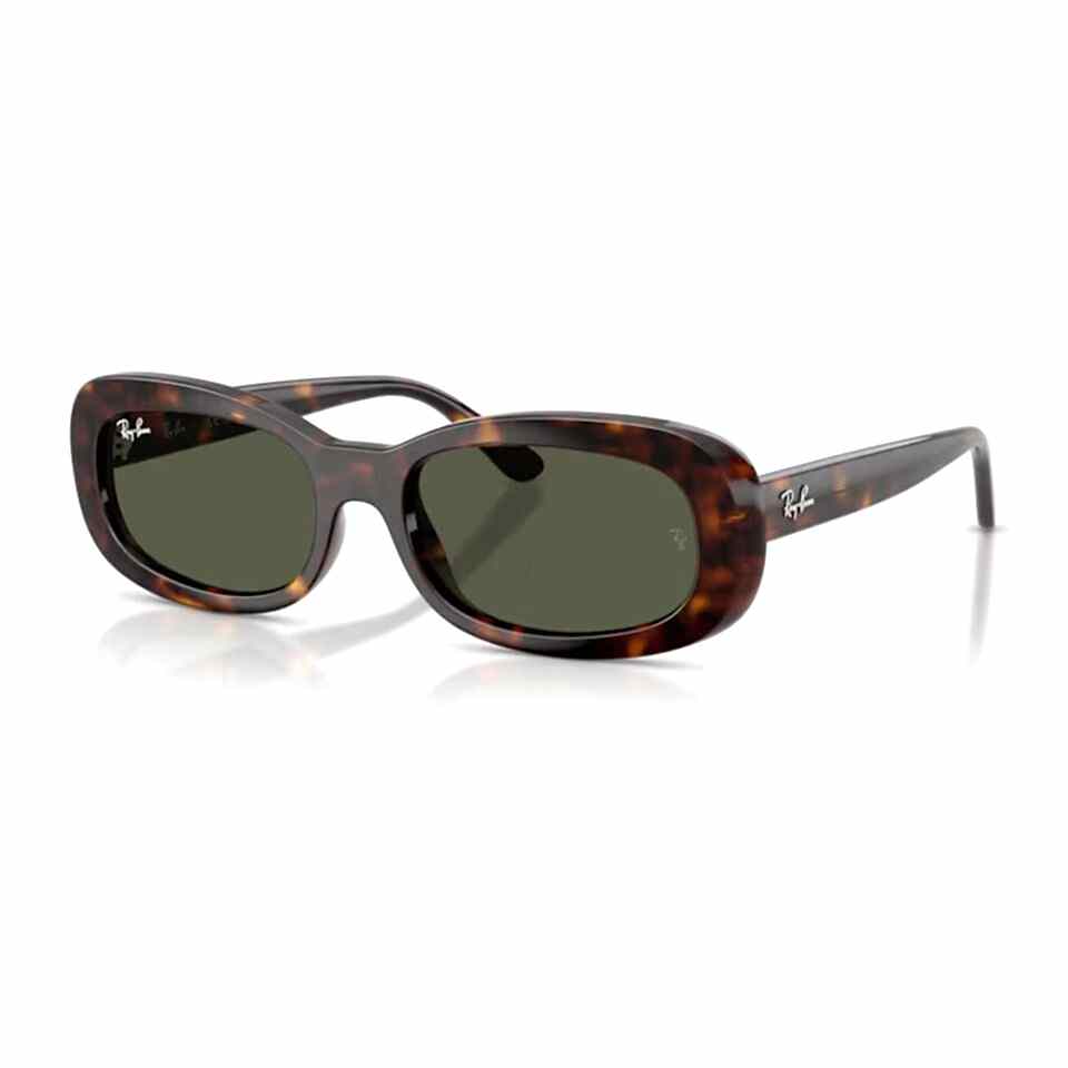 Ray-Ban RB 2221