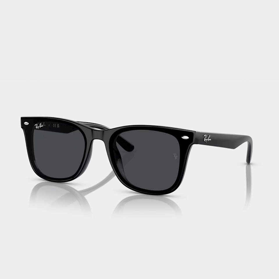 Ray-Ban RB 4420