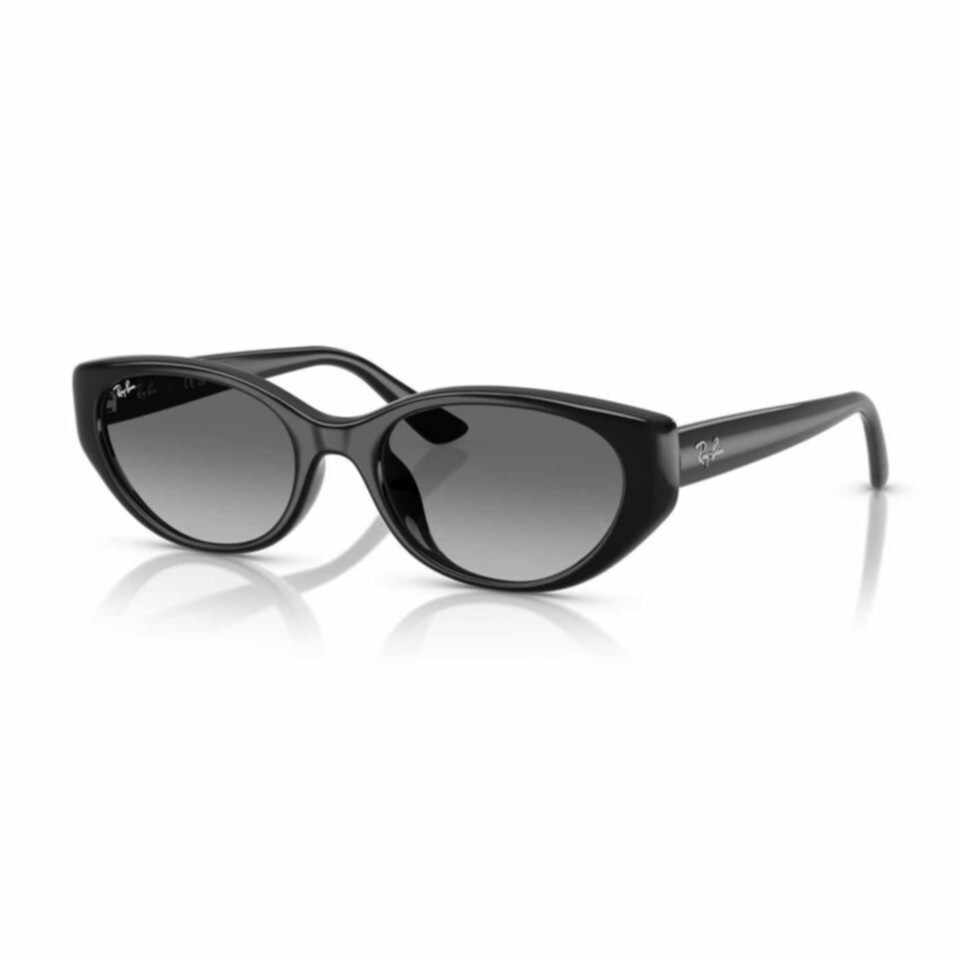 Ray-Ban RB 4457D
