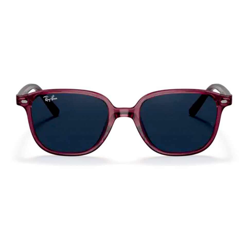 Ray-Ban Kids Leonard RJ 9093S